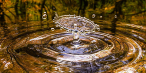 Economizar água em casa 9 Dicas essenciais