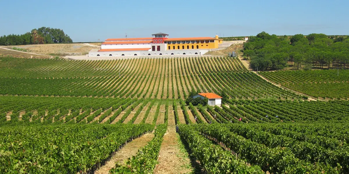 Turismo de Vinho em Portugal