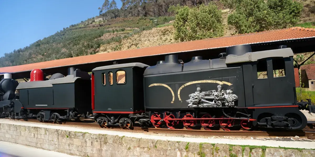 Descubra o Comboio Histórico do Douro
